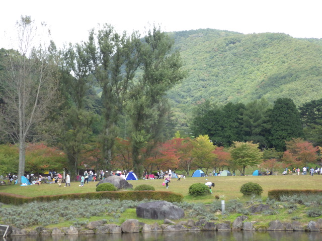 RIMG4764